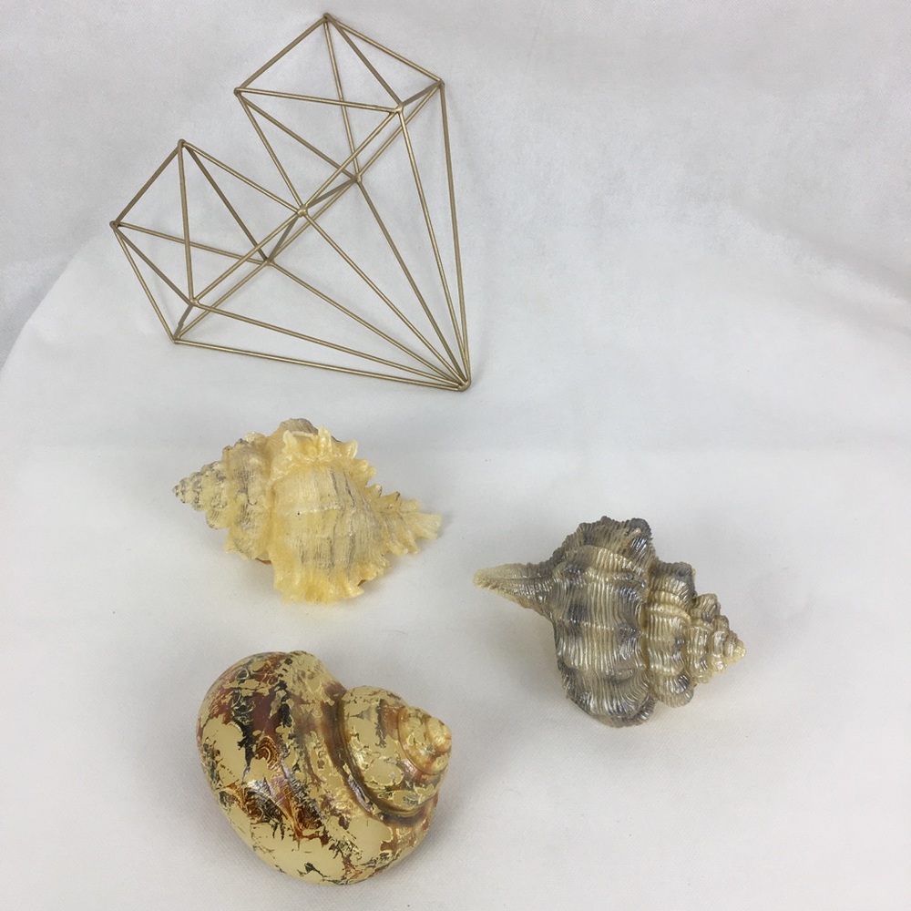 Large Seashell Candles Set Of 3